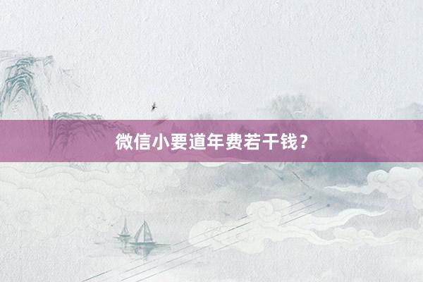 微信小要道年费若干钱？