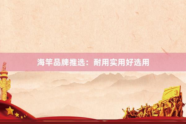 海竿品牌推选：耐用实用好选用